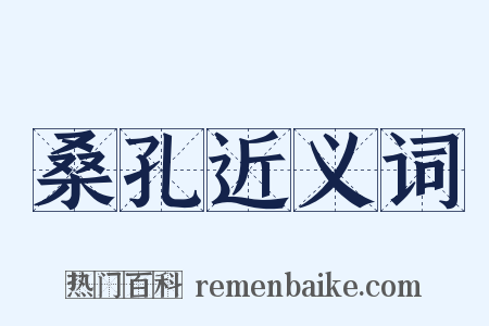 桑孔近义词是什么意思的图片